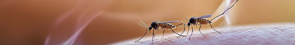 Quel est le meilleur anti-moustique ?