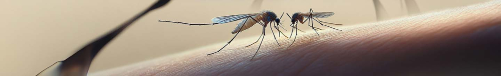 Quel est le meilleur apaisant pour les piqûres de moustiques ?