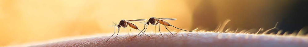 Quel est le spray antimoustiques le plus efficace ?