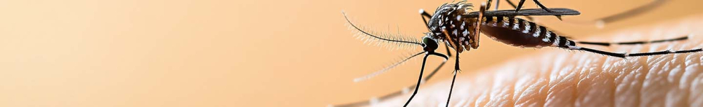 Quel anti-moustique est le plus efficace ?