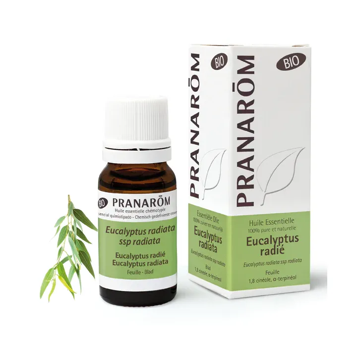 Huile essentielle d'Eucalyptus radié bio Pranarôm - flacon de 30 ml
