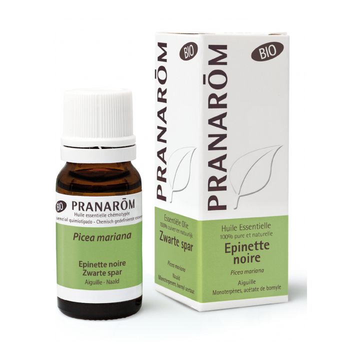 Huile essentielle d'Epinette noire Bio Pranarôm - flacon de 10 ml