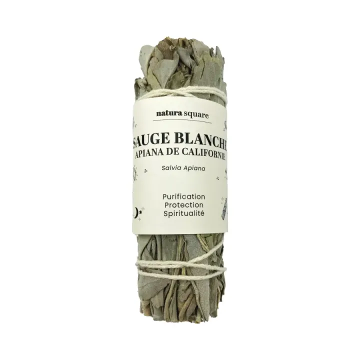 Sauge blanche Apiana de Californie Natura square - 1 fagot