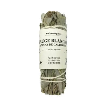 Sauge blanche Apiana de Californie Natura square - 1 fagot