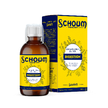 Schoum digestion arôme citron-menthe