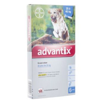 Advantix grand chien de plus de 25 kg Bayer