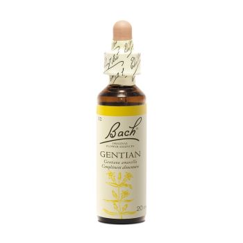 Fleur de Bach Gentian Gentiana amarella - flacon de 20 ml