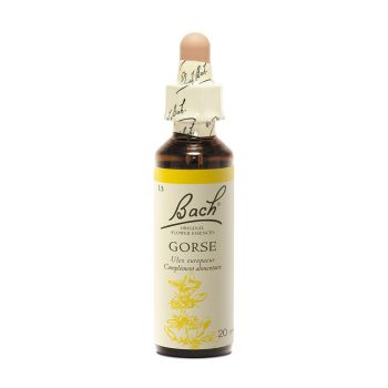 Fleur de Bach Gorse Ulex europaeus - flacon de 20 ml