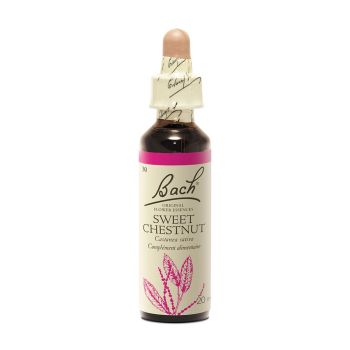 Fleur de Bach Sweet Chestnut Castanea sativa - flacon de 20 ml