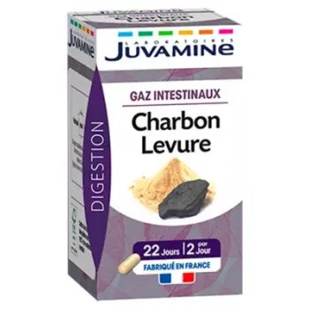 Charbon Levure Gaz Intestinaux Juvamine - boîte de 45 gélules