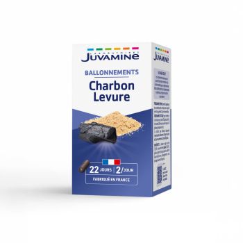 Charbon Levure Gaz Intestinaux Juvamine - boîte de 45 gélules