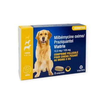 Milbémycine Praziquantel Vermifuge chien +5kg arôme viande Viatris - boite de 2 comprimés