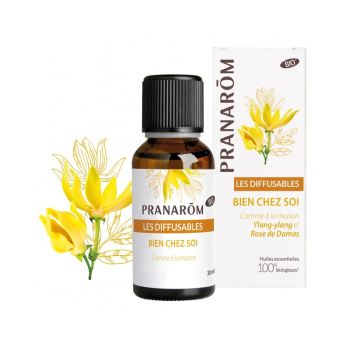 Les Diffusables Bien chez soi bio Pranarom - flacon de 30ml