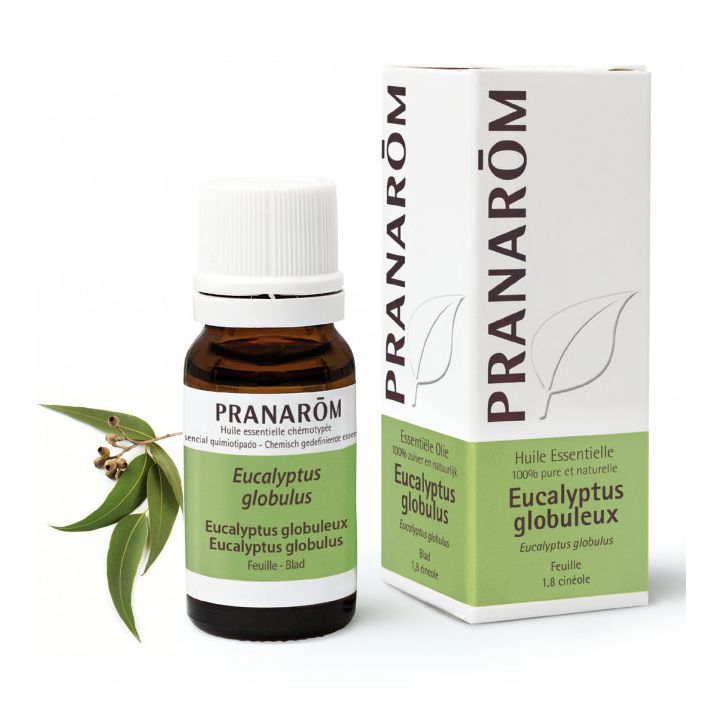 Huile essentielle d'Eucalyptus globuleux Pranarôm - flacon de 10 ml