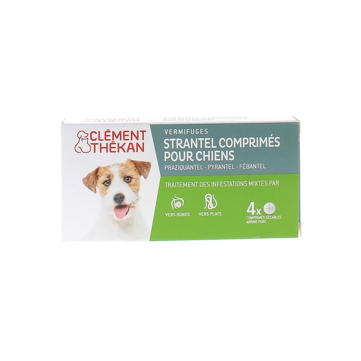 Strantel vermifuges comprimés pour chiens arôme porc Clément Thékan