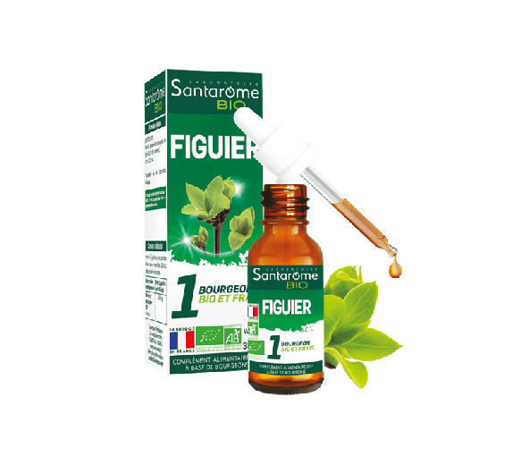 1 bourgeon BIO et frais Figuier Santarome - flacon de 30 ml