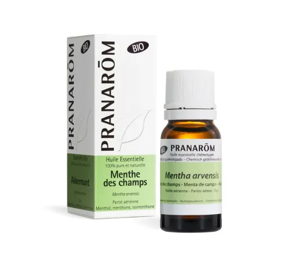 Huile essentielle Menthe des champs bio Pranarôm - flacon de 10 ml