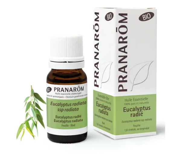 Huile essentielle d'Eucalyptus radié bio Pranarôm - image 1