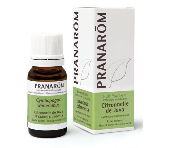 Huile essentielle de citronnelle de java Pranarôm - flacon de 10 ml