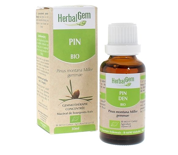 Pin des montagnes BIO Herbalgem - 30 ml