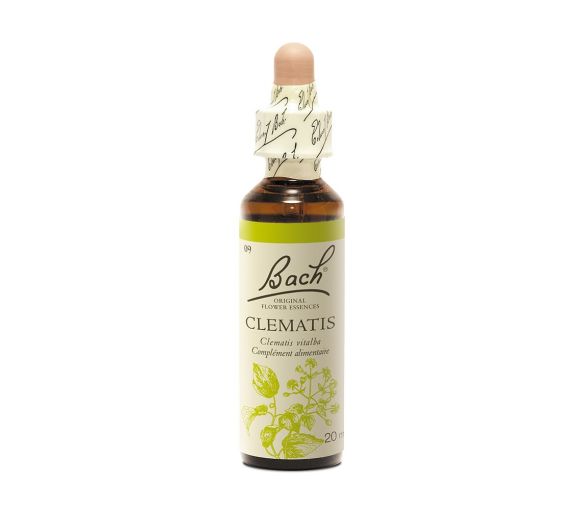 Fleur de Bach Clematis Clematis vitalba - flacon de 20 ml - image 1