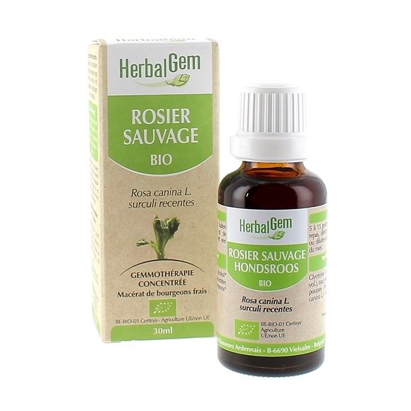 Rosier sauvage BIO Herbalgem - 30 ml