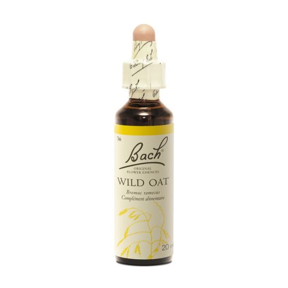 Fleur de Bach Wild Oat Bromus ramosus - flacon de 20 ml