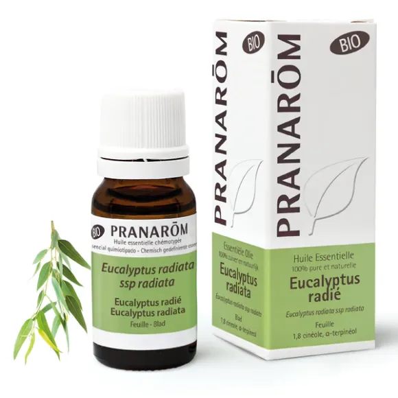 Huile essentielle d'Eucalyptus radié bio Pranarôm