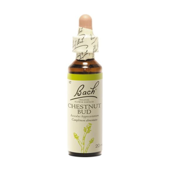 Fleur de Bach Chestnut Bud Aesculus hippocastanum - flacon de 20 ml
