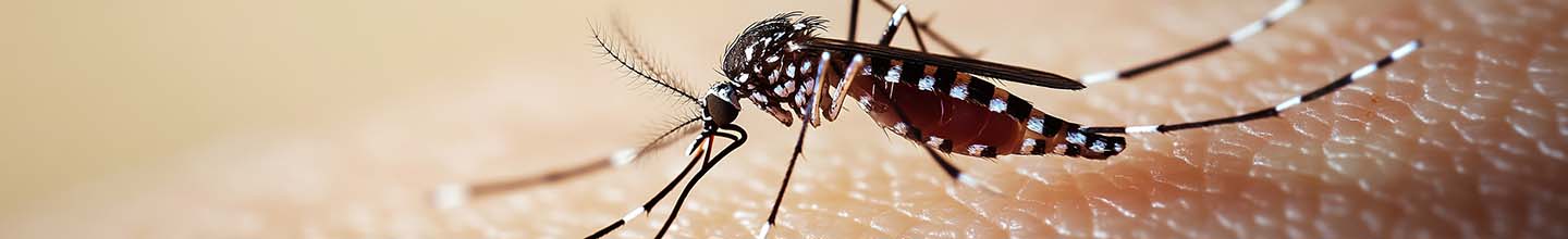 Comment empêcher les moustiques de me piquer ?