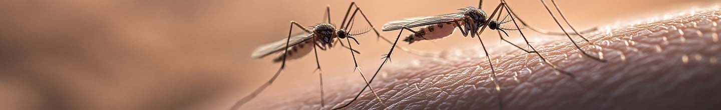 Quel est le produit le plus efficace contre les piqûres de moustiques ?