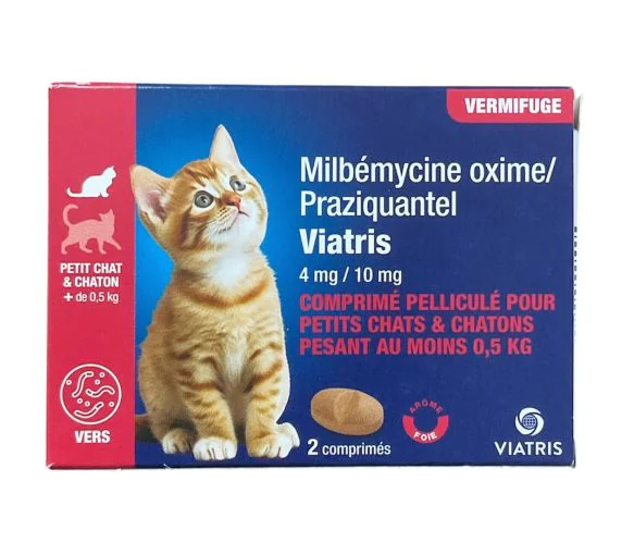 100 capsules naturelles vermifuges pour chiens et chats à base de plantes